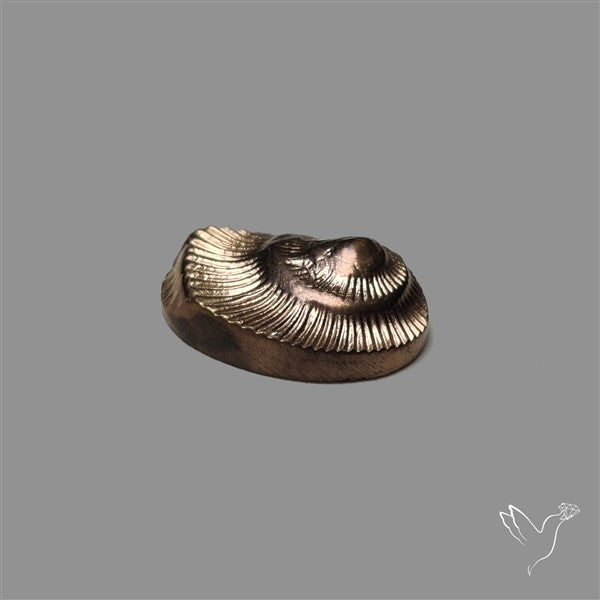 Rare Pyritized Ammonite Negative Fossil