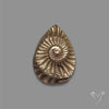 Rare Pyritized Ammonite Negative Fossil