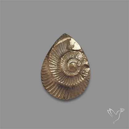 Rare Pyritized Ammonite Negative Fossil