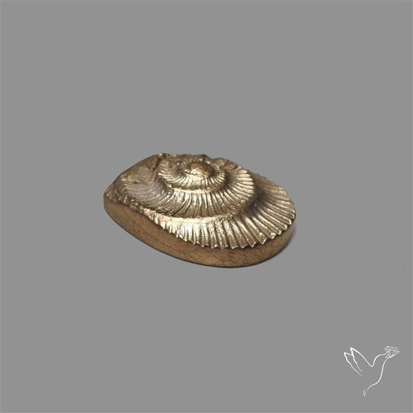 Rare Pyritized Ammonite Negative Fossil