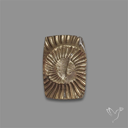Rare Pyritized Ammonite Negative Fossil