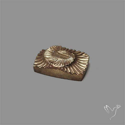 Rare Pyritized Ammonite Negative Fossil