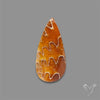 Suture Ammonite Fossilized Cabochon