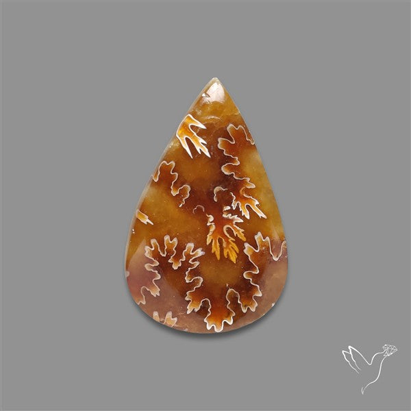 Suture Ammonite Fossilized Cabochon
