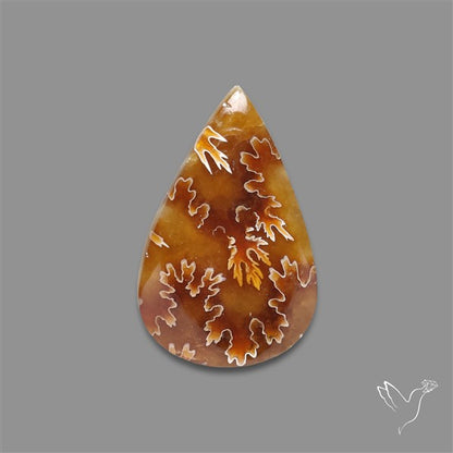 Suture Ammonite Fossilized Cabochon