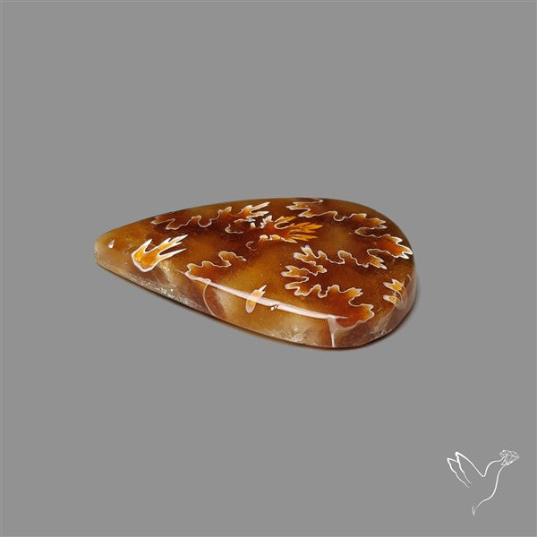 Suture Ammonite Fossilized Cabochon