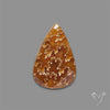Suture Ammonite Fossilized Cabochon