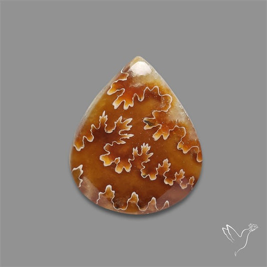 Suture Ammonite Fossilized Cabochon