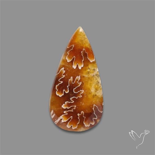 Suture Ammonite Fossilized Cabochon