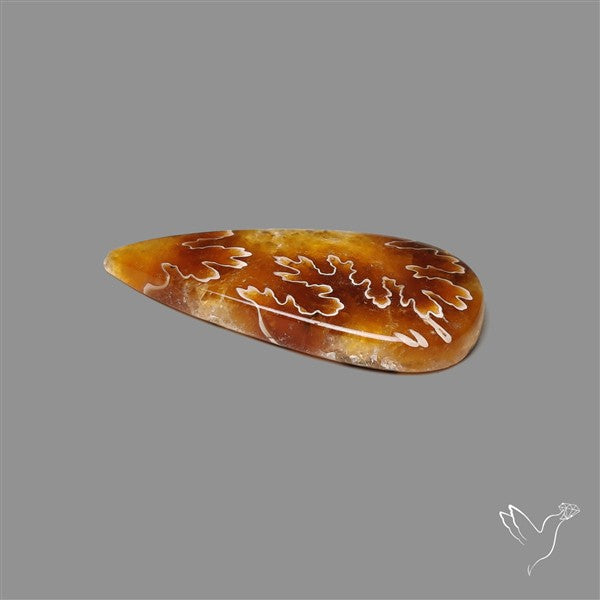 Suture Ammonite Fossilized Cabochon