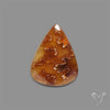 Suture Ammonite Fossilized Cabochon