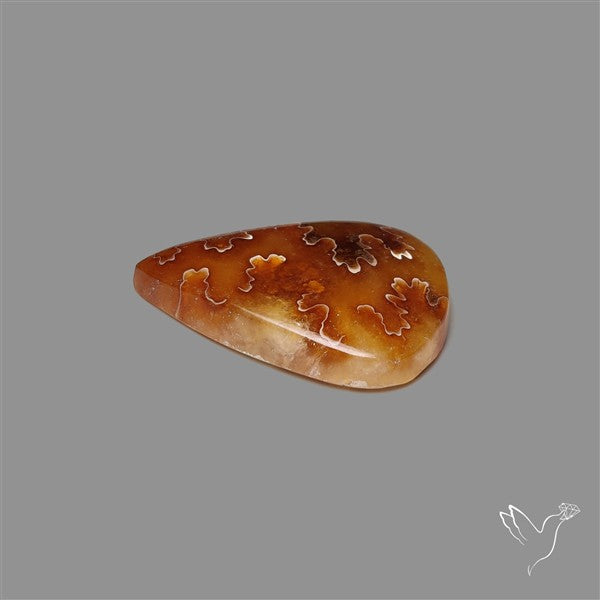Suture Ammonite Fossilized Cabochon