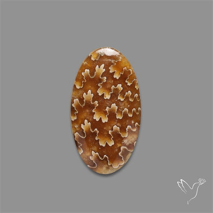 Suture Ammonite Fossilized Cabochon