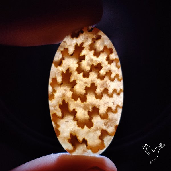 Suture Ammonite Fossilized Cabochon