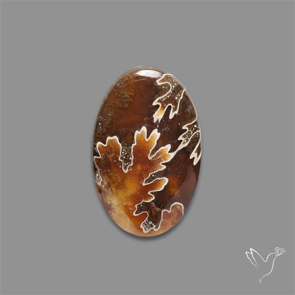 Suture Ammonite Fossilized Cabochon