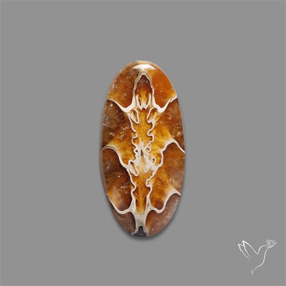 Suture Ammonite Fossilized Cabochon
