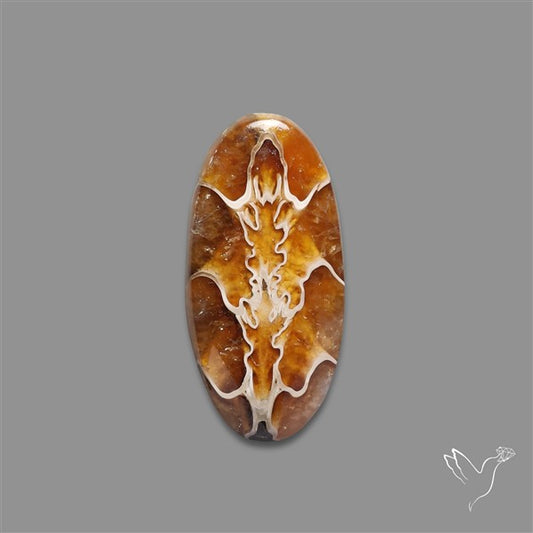 Suture Ammonite Fossilized Cabochon