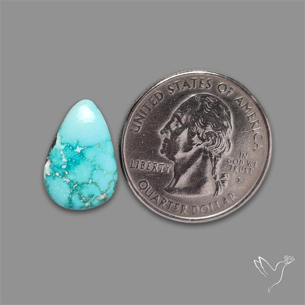 New Lander Turquoise Cabochon
