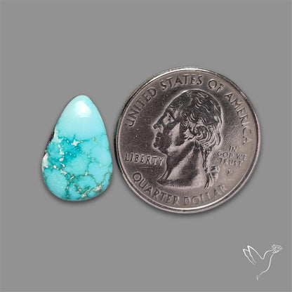 New Lander Turquoise Cabochon