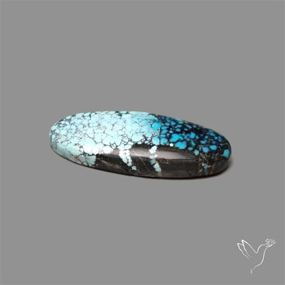 New Lander Turquoise Cabochon