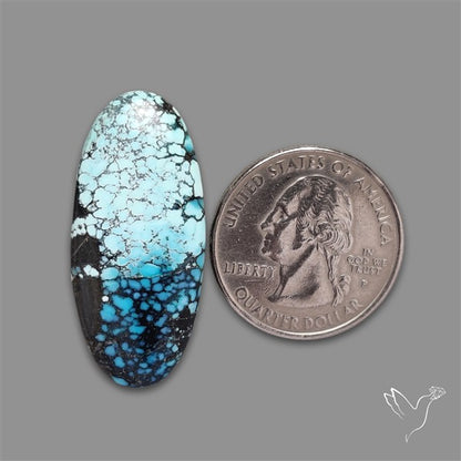 New Lander Turquoise Cabochon