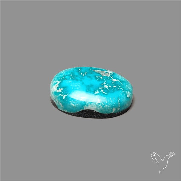 New Lander Turquoise Cabochon
