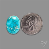New Lander Turquoise Cabochon