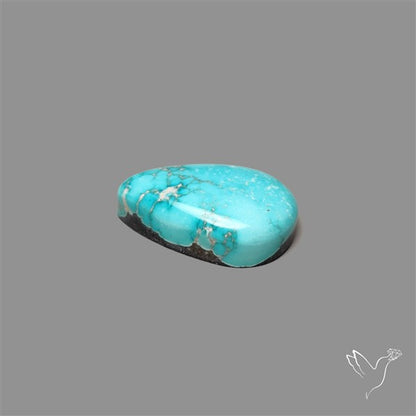 New Lander Turquoise Cabochon