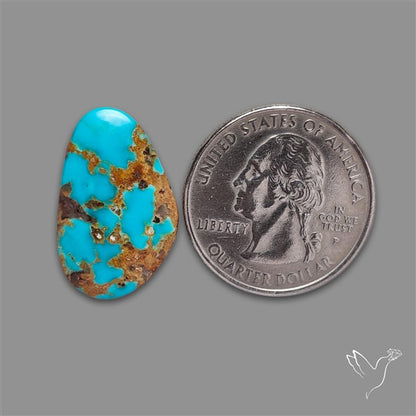 Number 8 Mines Turquoise Cabochon
