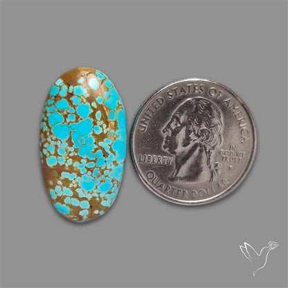 Number 8 Mines Turquoise Cabochon