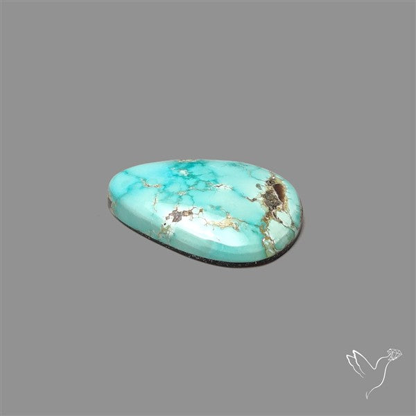 Sonoran Gold Turquoise