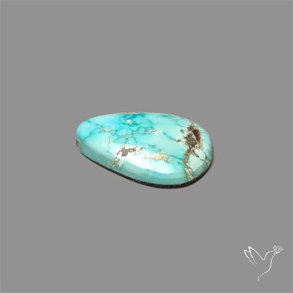 Sonoran Gold Turquoise