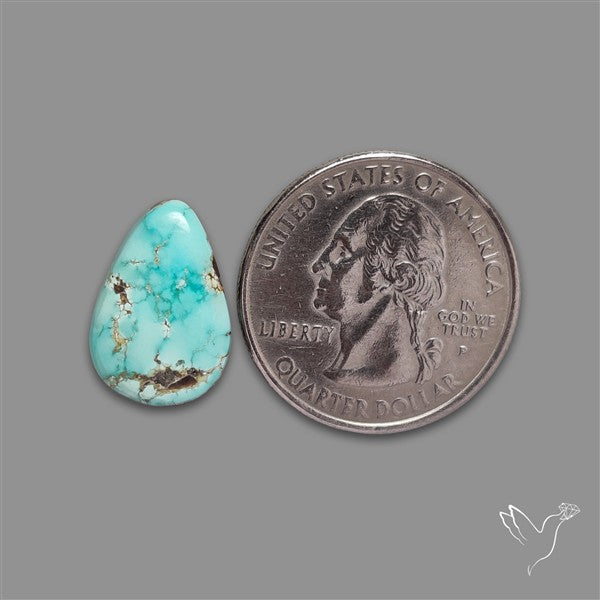 Sonoran Gold Turquoise