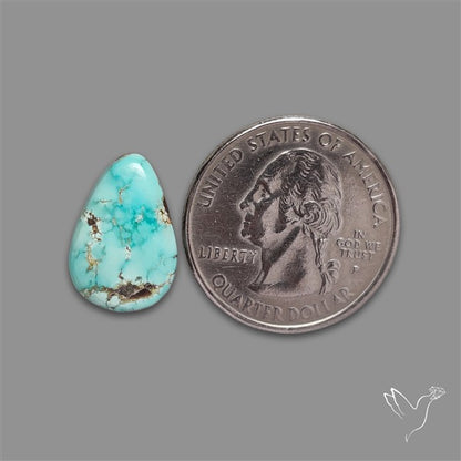 Sonoran Gold Turquoise