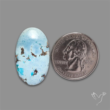 Large Golden Hills Turquoise Cabochon