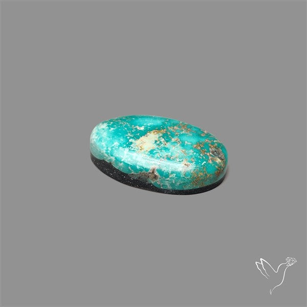 Sonoran Gold Turquoise