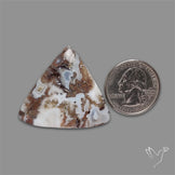 Moss Agate Cabochon