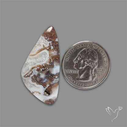 Moss Agate Cabochon