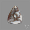 Moss Agate Cabochon