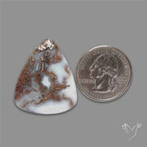 Moss Agate Cabochon