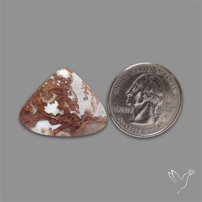 Moss Agate Cabochon