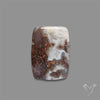 Moss Agate Cabochon