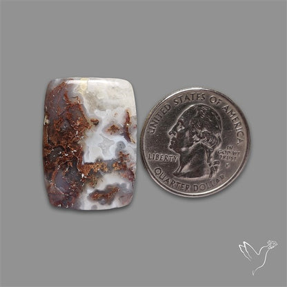 Moss Agate Cabochon