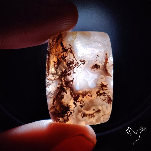 Moss Agate Cabochon