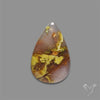 Agatized Green Petrified Wood