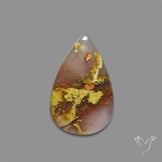 Agatized Green Petrified Wood