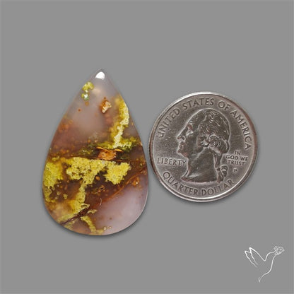 Agatized Green Petrified Wood