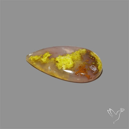 Agatized Green Petrified Wood