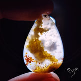 Agatized Green Petrified Wood