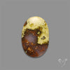 Agatized Green Petrified Wood